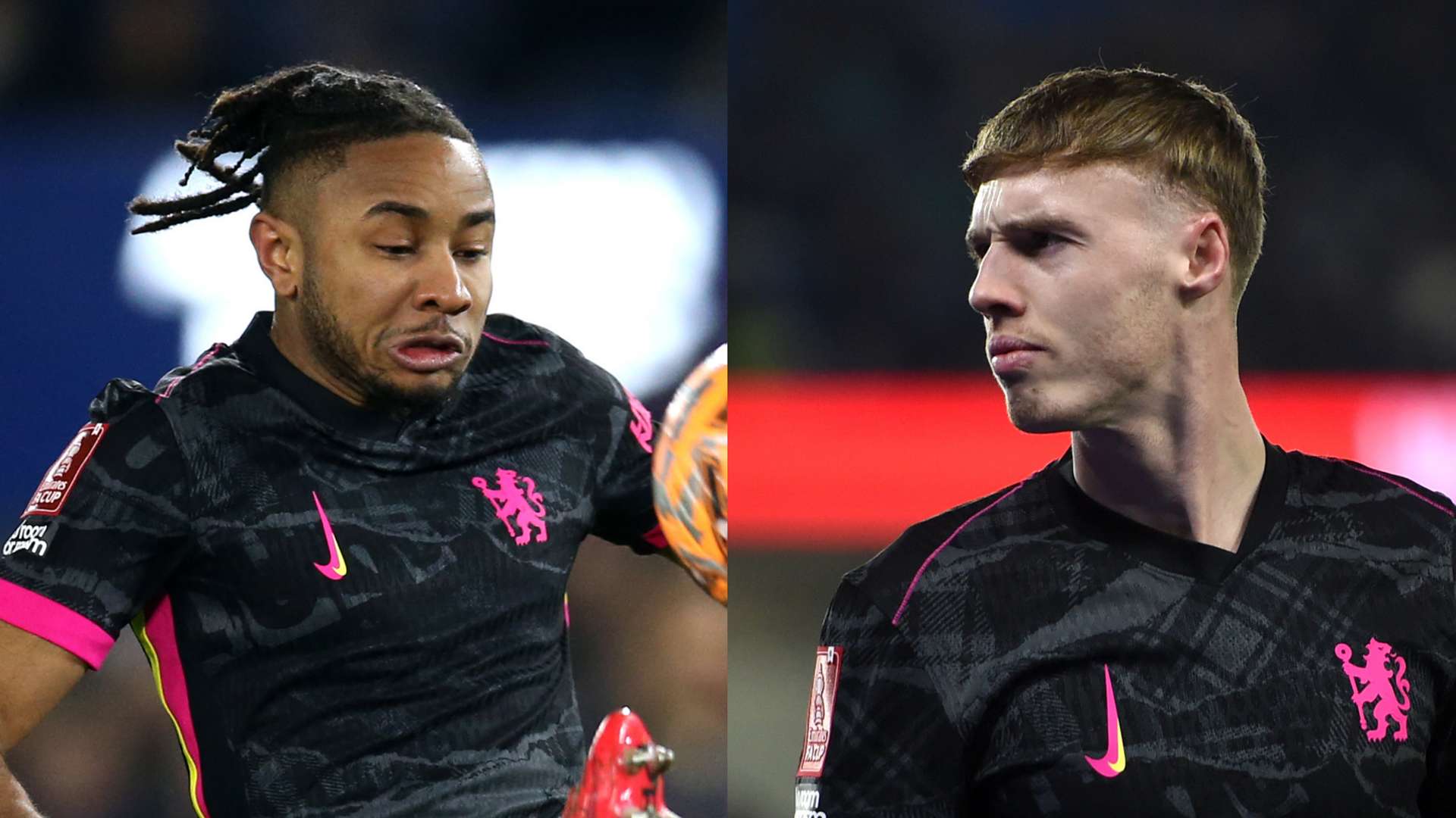 外援補強進 外援補強進