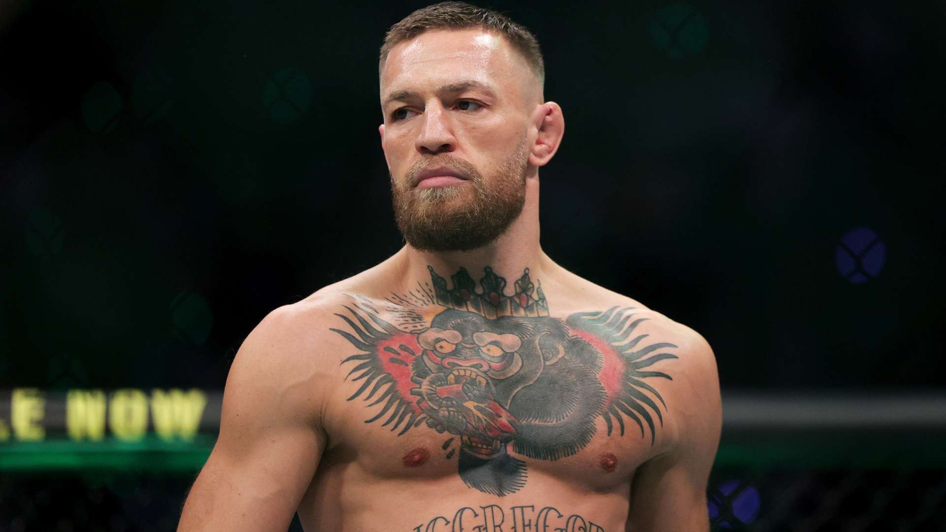 不仅是取胜 不仅是取胜