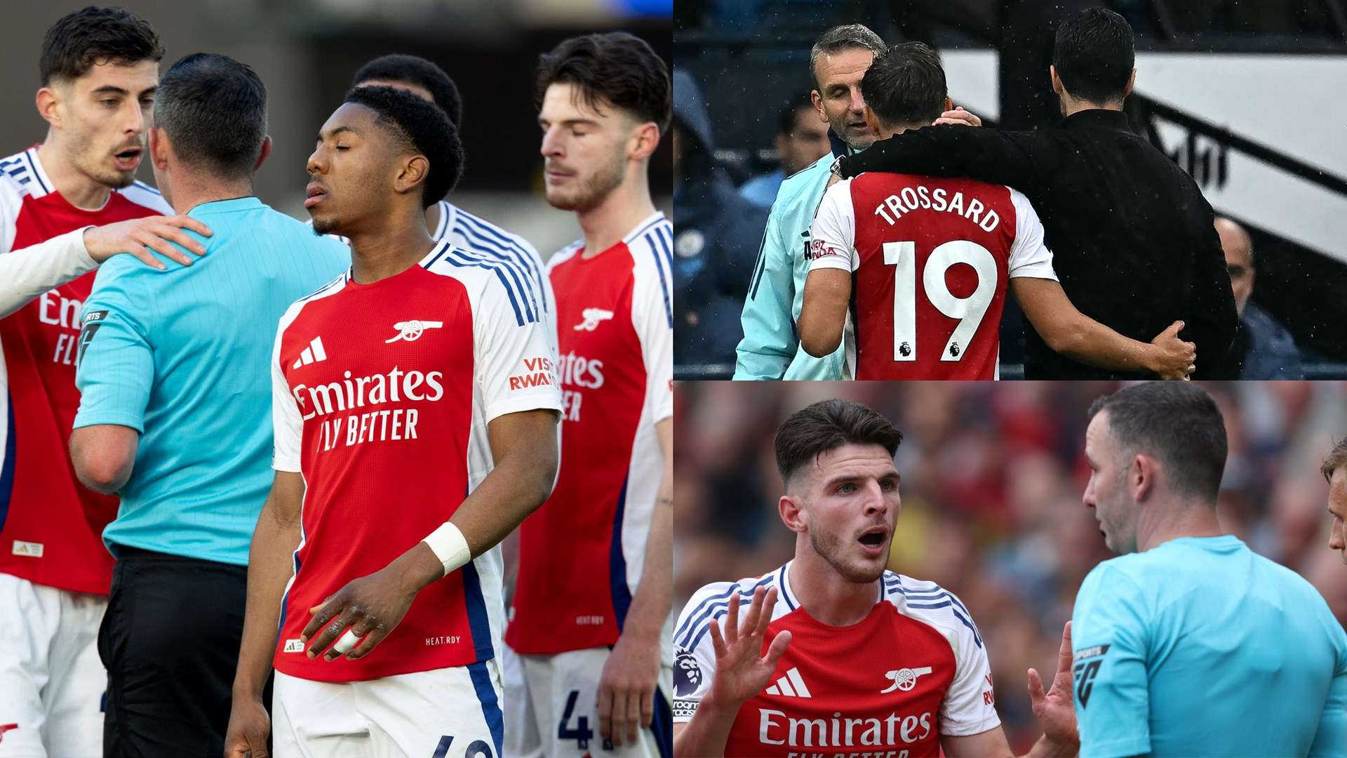 教練和球迷 教練和球迷