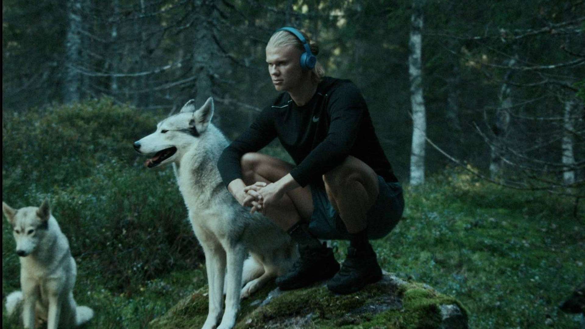 仅仅依赖球 仅仅依赖球